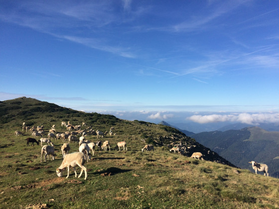 Sur les hauteurs du Mont Né