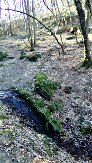 Agr&eacute;able chemin
