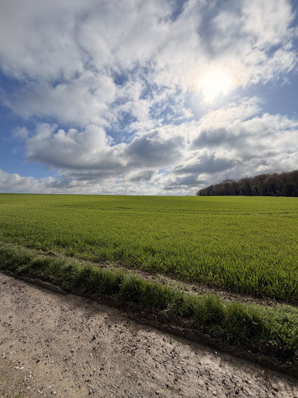 Sur les traces du 35e r&eacute;giment d&rsquo;infanterie