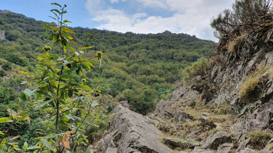 Sur une portion minérale du sentier