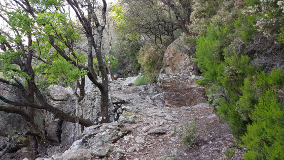 Sur une portion minérale du sentier