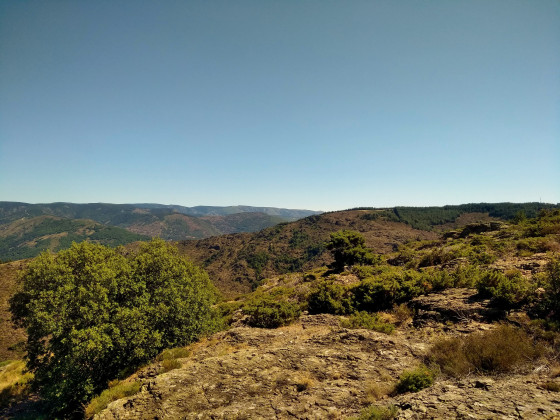 Sur la cr&ecirc;te