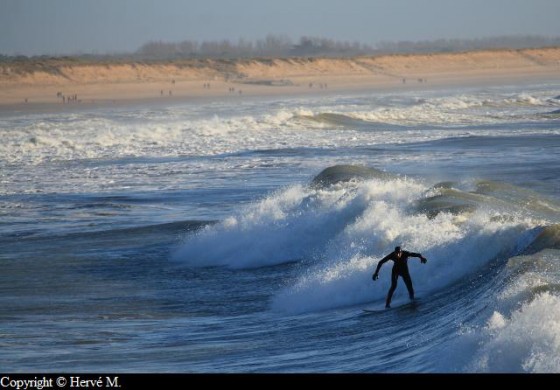 Surfeur