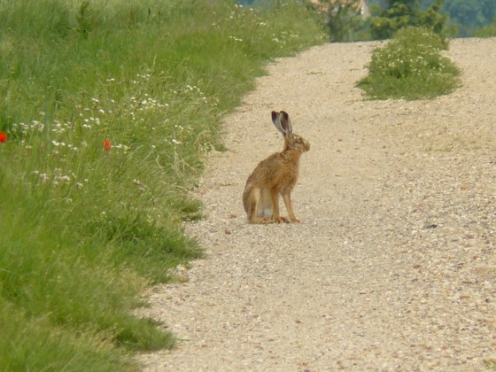 Sympatique rencontre