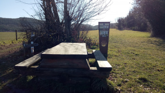 Table de pique nique