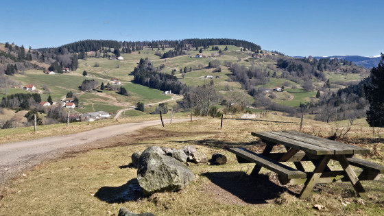 Table de pique-nique