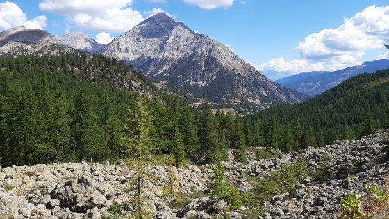 Tablier de moraines et Mt Chaberton