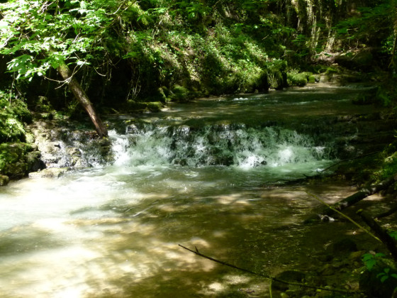 Tal des Donverbachs
