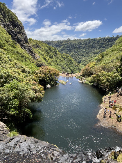 Tamarin falls