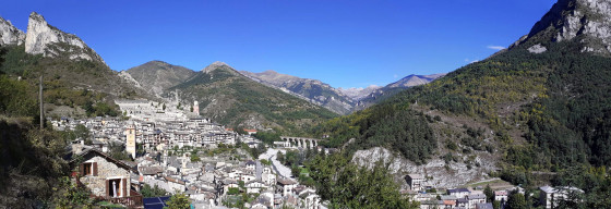 Tende