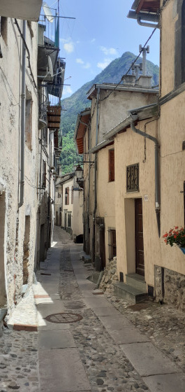 Tende