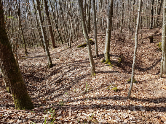 Terrain accidenté