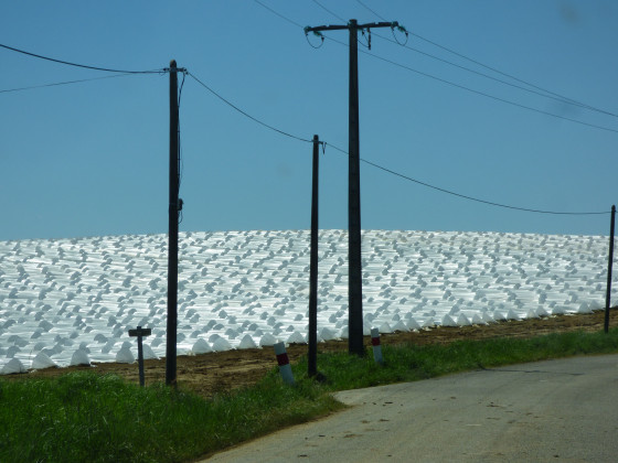 Terre de Melon