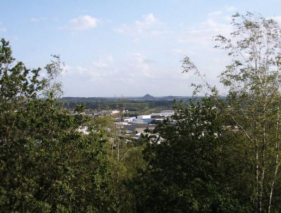 Terril 107