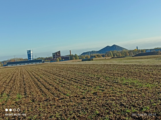 Terril du 11-19 et chateau d'eau de Lievin