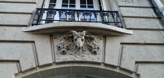 Tête de bélier
