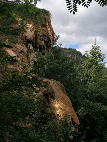 Tête de Lion