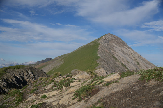 Tête de Rame