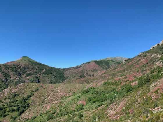 Tête de Rigaud