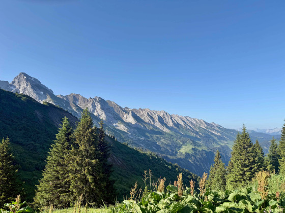 Tête des Annes