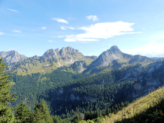 Tête des Follys