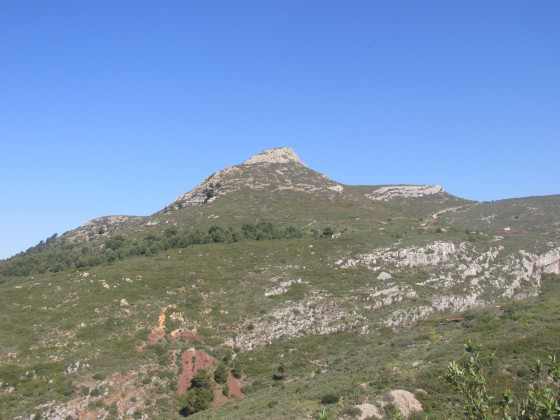 Tête rouge