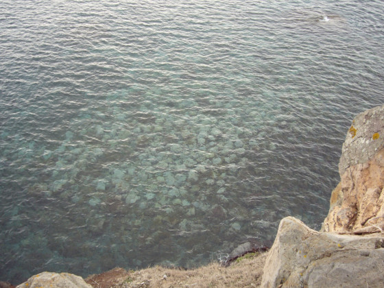 Têtes de prismes basaltiques sous la surface de l\'eau