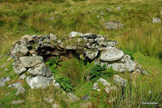 The Beehive hut on the East Dart River
