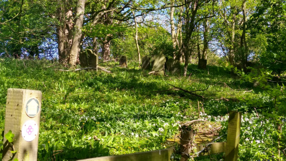 The graveyard for the demolished St Mary's Church at Monk Hesleden