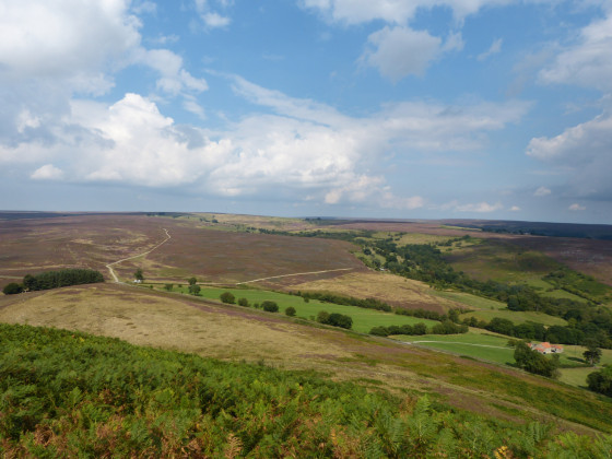 The lie of the land from Hawnby Hill