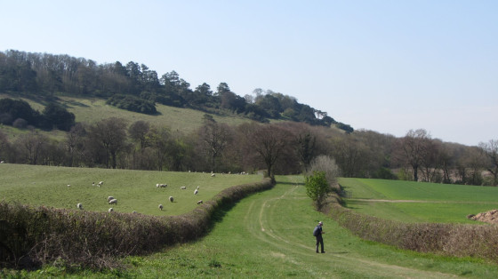 The Ridgeway below Shirburn Hill