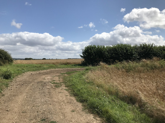 6. Le début d\'un long chemin tout droit