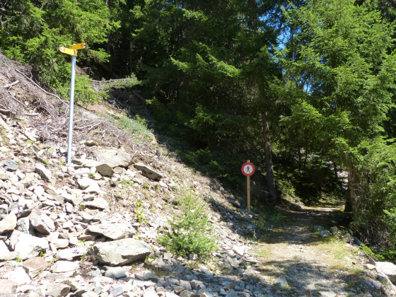 La bifurcation pour Catogne et le Sentier du Belvédère