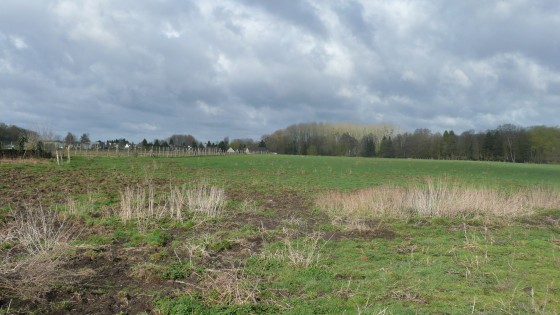 Thiers-sur-Thève