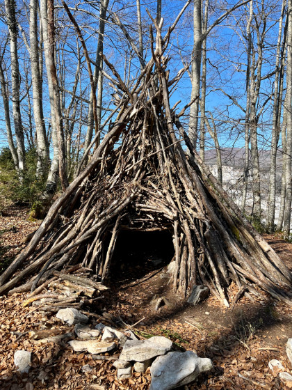 Tipi