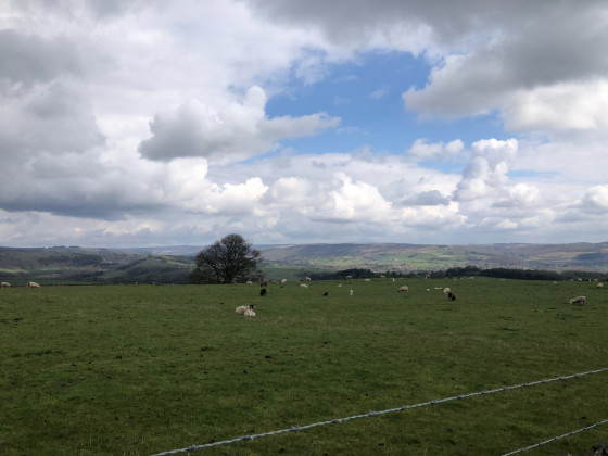 Sommet de la colline