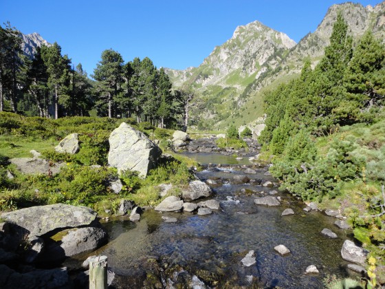 Torrent de Laurenti