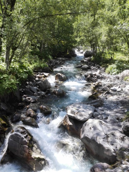 Torrent de Navette