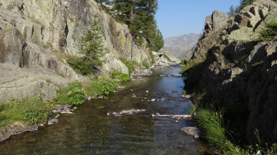 Torrent de Vens
