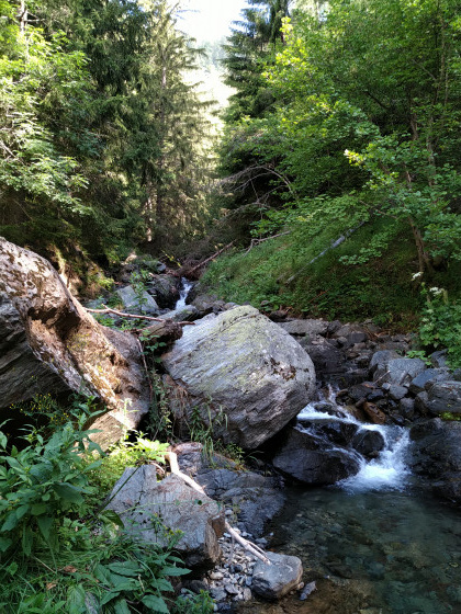 Torrent