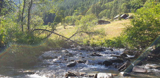 Torrent
