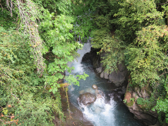 Torrent
