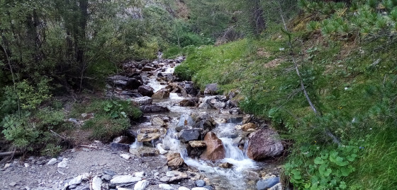 Torrent