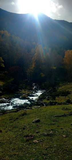 torrent
