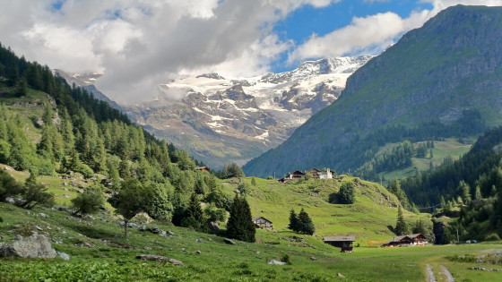 Torrente Lys