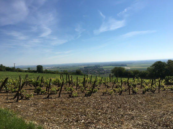 Torvilliers