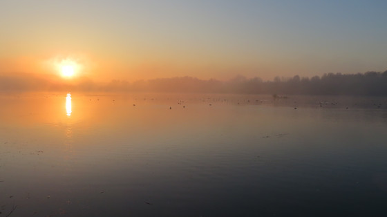 Tôt le matin près du Lac