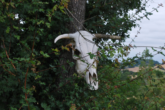 Totem de Castillon