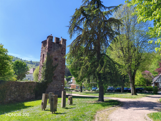 Tour de la Porte Haute et son parc