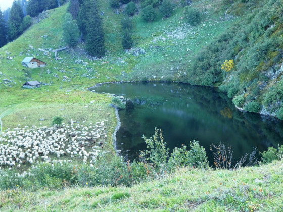 Lac des Cornaches